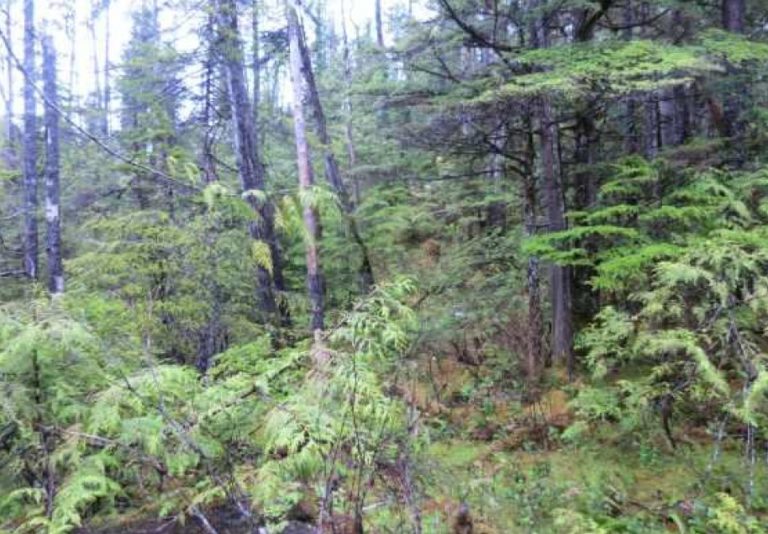 
																	 2021-fall-ls-thoms-place-9100392_01																											