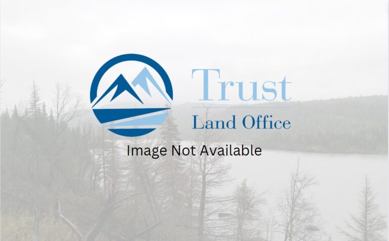 
								LS Banner_No Image								